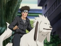 Kiba e Aka